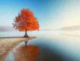 java后﻿端﻿开​发‌工‌具﻿